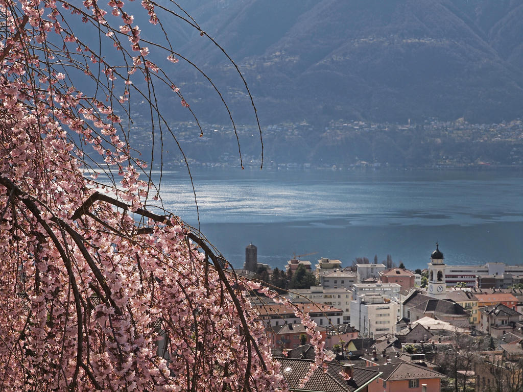 Casa Sibylle Bei Locarno Apartamento Exterior foto